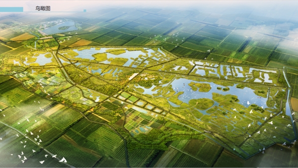 天津市武清区大黄堡湿地自然保护区